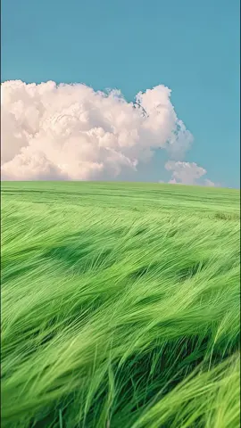 Asking an Ai to make Hulunbuir Grassland #ai #aiart #midjourney #runwayml #hulunbuir #peaceful #wallpaper #landscape #relax #fyp #xyzbca