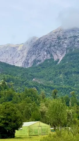 🌕 Gauuuu, SANTUARIO de la Naturaleza Valle Cochamó. Luego de muchos años de trabajo colectivo entre la comunidad local, organizaciones de la sociedad civil e instituciones públicas se aprobó la creación del Santuario de la Naturaleza Valle Cochamó, área que tiene un total de 11.432,8 hectáreas y que protege 6.500 hectáreas de bosque maduro y 1.800 hectáreas de alerces milenarios, ríos y humedales ribereños que aportan nutrientes y vida al estuario de Reloncaví y de un patrimonio geológico muy representativo de la Patagonia, que tiene en el valle de Cochamó su principal exponente.  La solicitud fue levantada por la Organización Valle de Cochamó, con el apoyo técnico de la ONG Puelo Patagonia, al mismo tiempo estas organizaciones han logrado reunir a la comunidad local para trabajar en torno a esta figura de conservación, incluyendo a organizaciones como la Agrupación de Arrieros Valle Cochamó, la Comunidad Indígena Antu Lemu N° 1219, la Cámara de Turismo Destino Cochamó, el Gremio de turismo, la Junta de Vecinos N°6 Cochamó, el Club de Adulto Mayor Cochamó y la Municipalidad de Cochamó, entre otras.  ☝️☝️☝️☝️www.puelopatagonia.cl Los cedidos sin duda son para: 📹 @datos_surenos en instagram 👏👏👏👏👏👏👏 #Cochamó #cochamo #santiario #santiariodelanaturaleza #valledecochamo #patagonia #patagoniachilena 