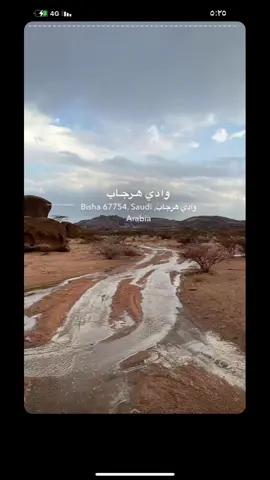 #بيشه_الان #امطاراليوم #صمخ #الحفيره_الان     لقطات من امطار امس 🥰