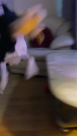 Barney decides to get his Donkey toy half way through this video