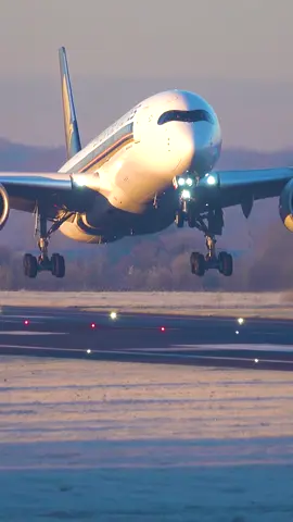 Stunning A350 Touchdown ✈️😳