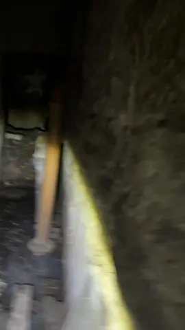 Watch till the end 😩 the tunnels under my flat that lead off from the secret room. I cannot cope with this building!! I wasnt freaked out before but i am now! As you can see there are a couple rooms id have to crawl into and im not sure im willing to! I wanna know what the purpose of them was and why they dont have full sized doors?! Any ideas?? #fyp #fy #fypage #trending #renovation #secretbasement #basement #tunnel #building #old #mystery #victorian #uk