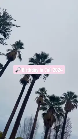 Pov: Birthday in Cali! 💕✈️ #bayareatiktok #birthdayideas #sanfranciscobayarea #sanfranciscofood #goldengatebridgesanfrancisco #californiaadventure 