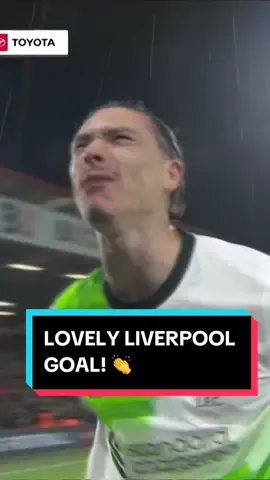 Like a hot knife through butter. 🧈 Darwin Nunez finishes off a fine Liverpool attack! #Soccer #football #PremierLeague #liverpool #darwinnuñez 