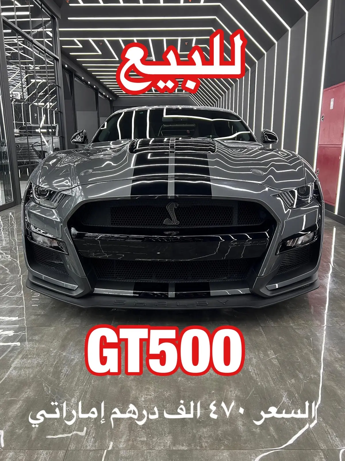 موستنق شلبي GT500 موديل 2022 وارد وكالة الطاير في الامارات، الممشى 2400 كيلو ، الموتر عليه ضمان الى 2028 و عقد صيانه لين 2026 او 60,000 كيلو الموتر بحالة الوكالة و عليه جلاد حماية بالكامل . مطلوب 470,000 درهم اماراتي  للتواصل 971588181781+ #carsoftiktok  #carsforsaledubai  #موستنج #gt500 