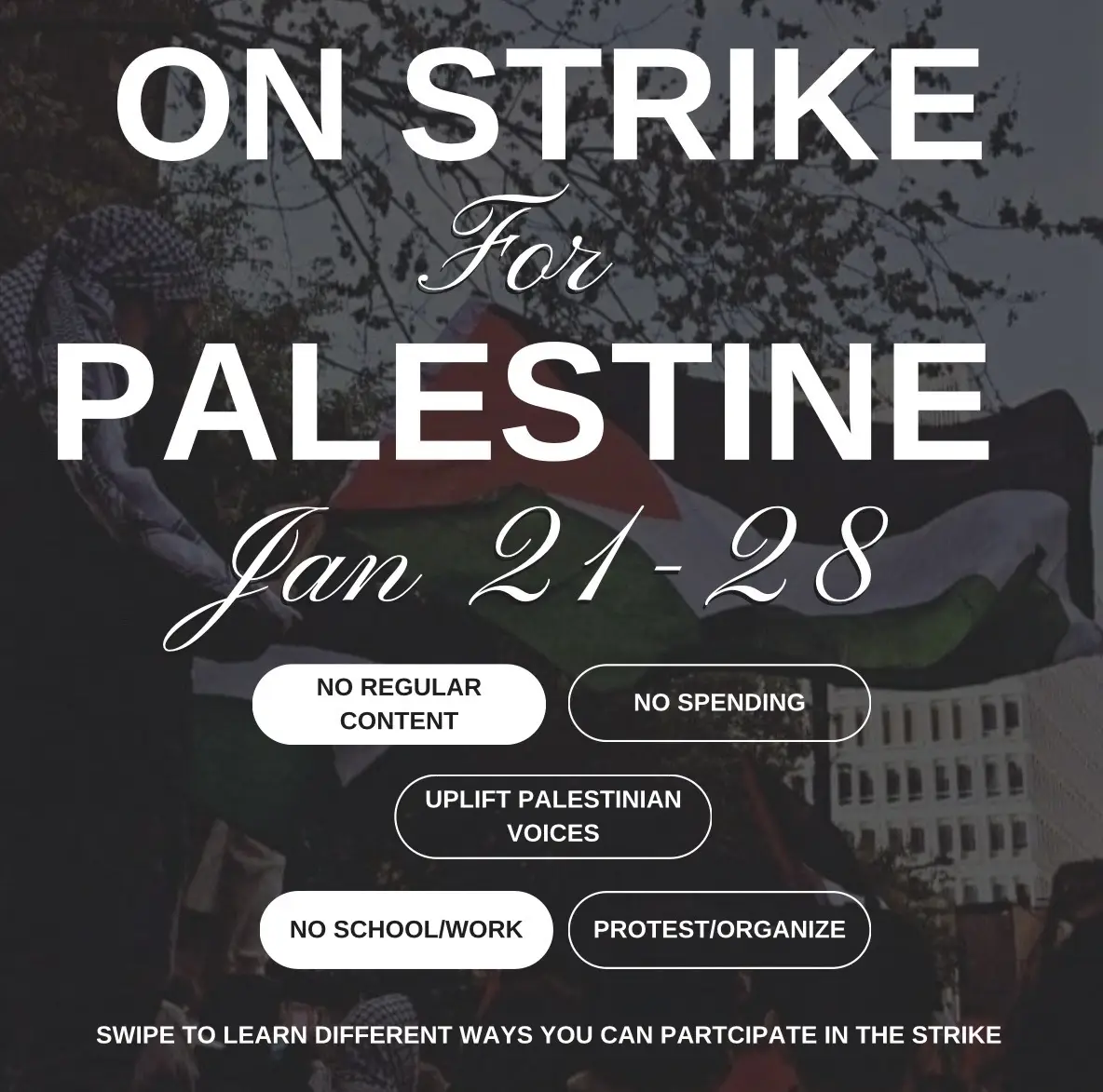 no regular content from jan 21-28. I will continue to uplifting Palestinian voices and only share/talk about Palestine. No business as usual while gen0cide has gone on for over 100 days. Permanent ceasefire now. End the occupation. Free Palestine. #satrayreads #booktokfyp 