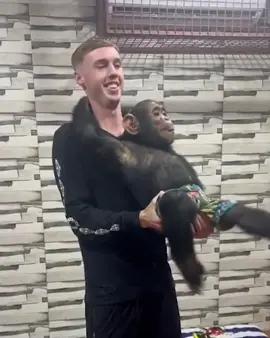 (𝐍𝐨𝐭 𝐬𝐨) Cold Palmer 🥶🐒 IG/colepalmer #football #futbol #colepalmer #funny 