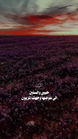 حبيبي والسنين اللي عوضها وجهك المزيون #فايز_الدوسري #اكسبلور #قصايد #شيلات 