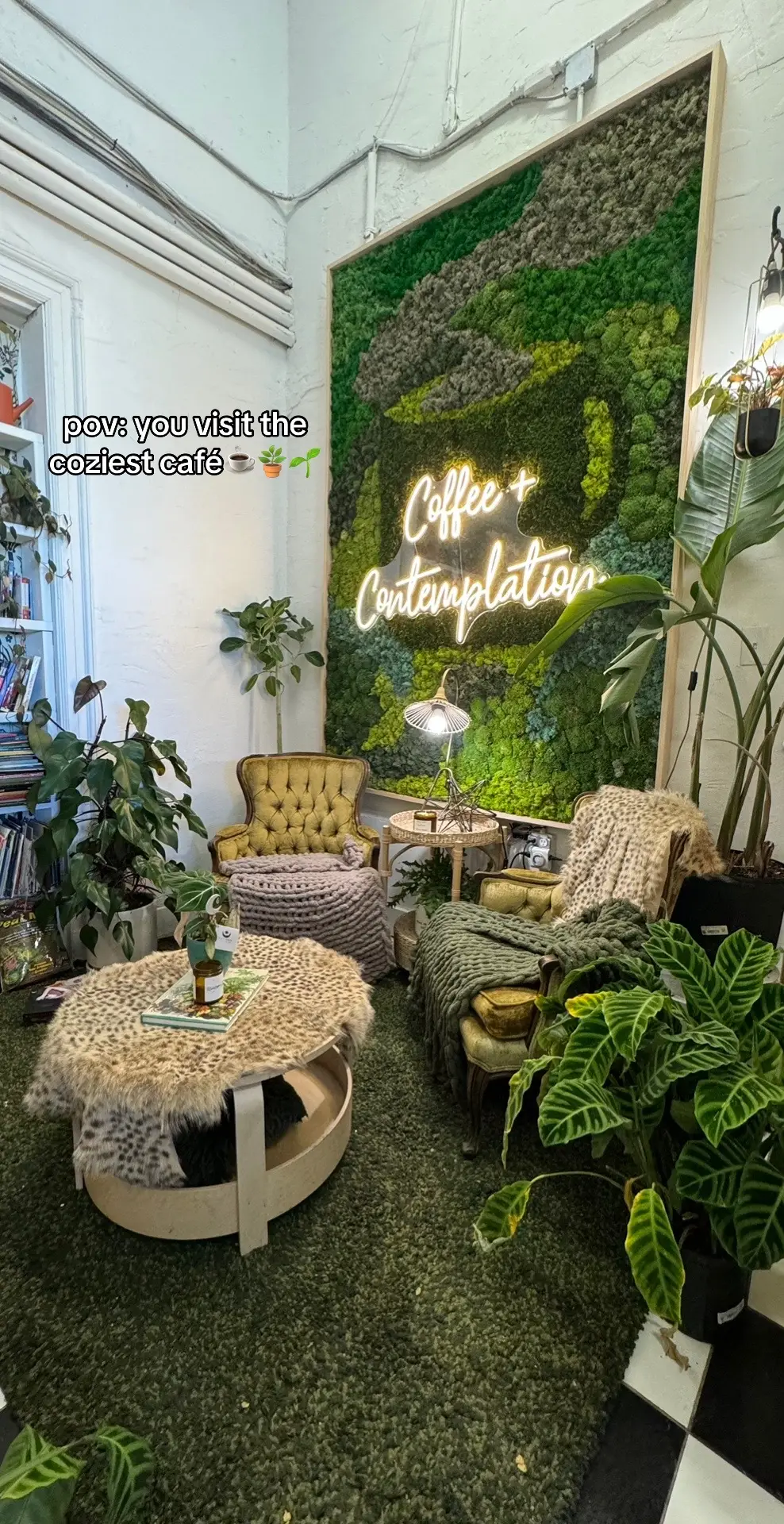 sooo cozy🤍 #coffeeshop #cafe #plants #fyp #foryou #coffeetiktok #aesthetic 