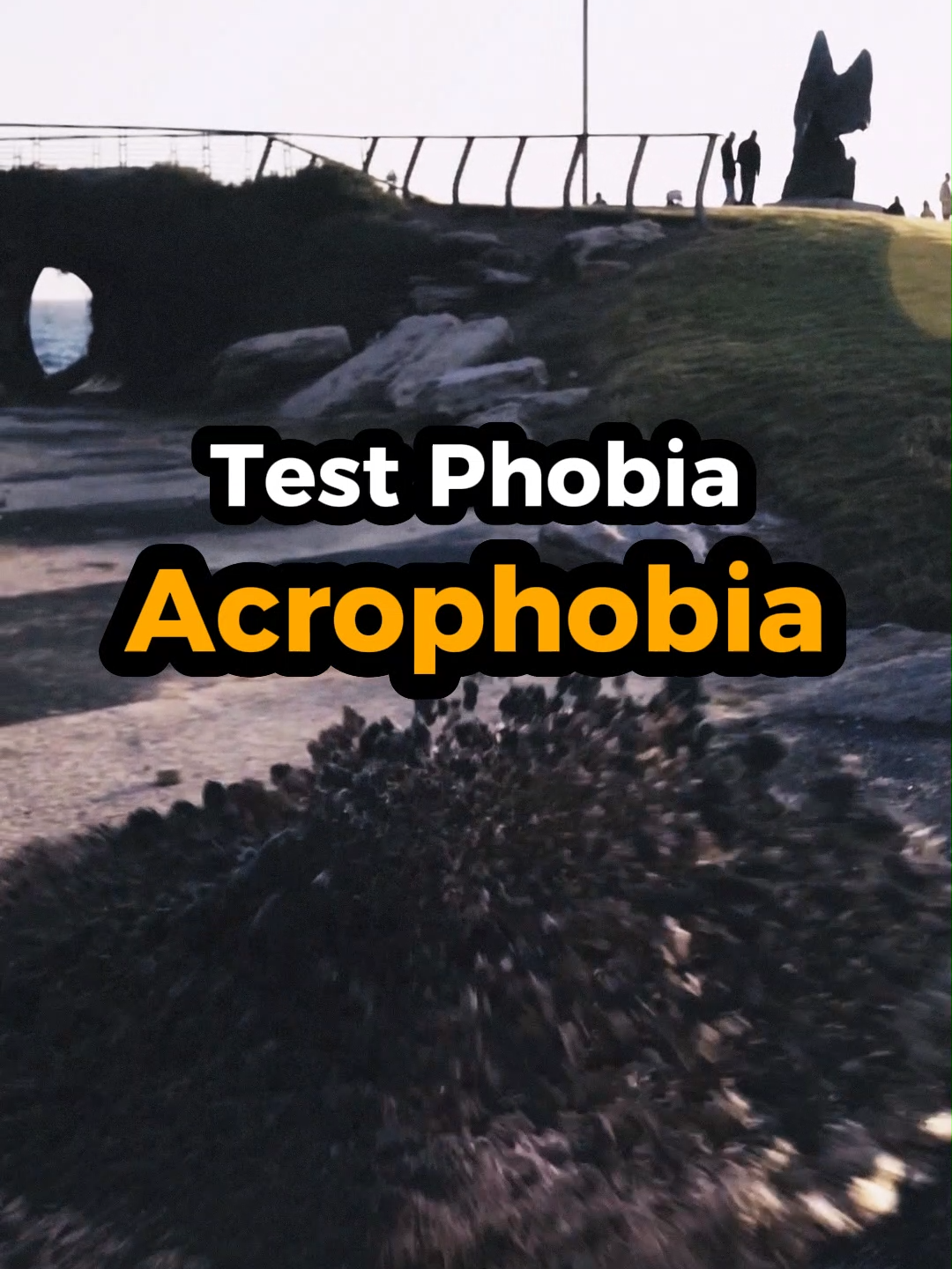 Test Phobia - Acrophobia😳 #fyp #interesting #plants #acrophobia