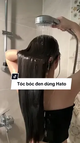Hato trên nền tóc bóc đen sẽ ntn 😭 #hairtok #hairtips #hairtransformation #haircare #haircareroutine #showerroutine #roseoil #goclamdep #reviewlamdep #ThanhThoiLuotTet #goctocdep #duongtoc #chamsoctoc #daugoithiennhien #goidauduonsinh #foryou 