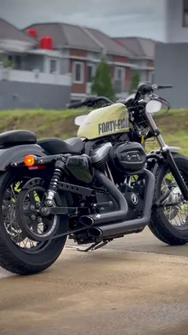 Idola kawula muda 🔥🔥 Sportster 48 gold glitter  #jualharley #jualharleydavidson #jualsportster #jualsportster48 #sportster48 #harleydavidson #harleydavidsonindonesia