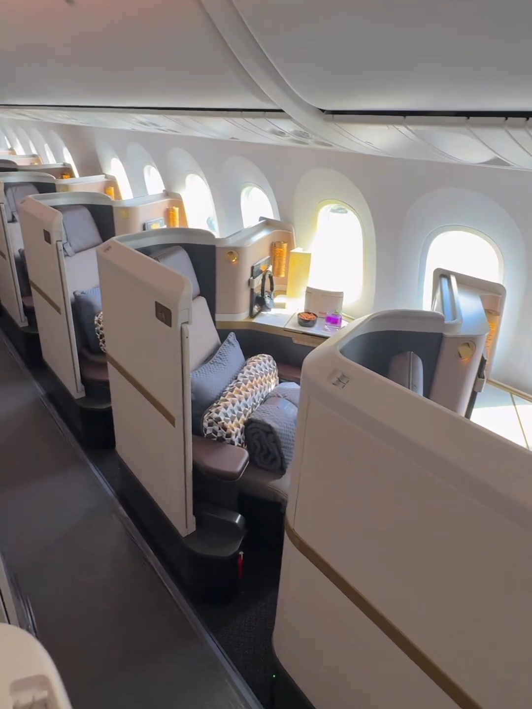 New Etihad Business Class on the B787 with higher privacy wall divider #aviation #businessclass #etihad #luxurytravel