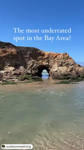 SHARE with who you’d like to visit here with! This spot is personal: back in 2020 during the height of the pandemic, we started venturing outdoors more.  Our lives were stressful between remote schools,  screen time, no friends, and family all far away.  It was Ashley who had the simple realization that the outdoors was still open and even just 15 minutes there transformed us from cranky, bored, and down to happy, energized and optimistic.  This spot was the first real family trip we took and was the basis for forming OWL.  With that as the background for this lesser known gem, here are the details: Location: Pescadero Marsh (about 20 minutes south of Half Moon Bay). A perfect combo with Pigeon Point Lighthouse! Park: near Sand Beach in Cabrillo HWY S parking.  Free! Exploration tips:  1) Take in the views from the parking lot.  It’s gray whale season to so this is a great spot to watch for them.  2) Walk down the stairs and across the protected foot path on the HWY 1 bridge (going north). Access sand beach on the left.  3) Play around on the beach with driftwood and check out the keyhole rock arch.  It’s especially beautiful at sunset.  4) Walk under the bridge to access the Pescadero Marsh.  5) Walk along the Sequoia Auburn trail by walking east or go north to check out that amazing bridge. Note: the Sequoia Auburn trail has unique climbing trees that are currently inaccessible due to the damage to a seasonal bridge.  Still beautiful and a great spot for family adventures **** I love sharing great Bay Area & beyond places to explore.  Be sure to follow @outdoorwiseliving! #bayareahike #bayareahiker #bayareabeach #bayareahiking #getowlside #pescadero #marshes #visitcalifornia #californiaadventure #californiaadventures #california #californialove #hiddengems #hiddengem #onlyinnortherncalifornia #outside #getoutdoors #amazingfinds #californiacoast #bayarea #sfbaytrail #sfbayarea #californiahikes #hikingculture #familytravel #familytrails #trail