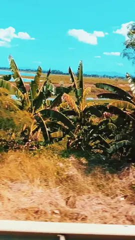 sueños y vivencias - Diomedes días #fyp #fypシ #viral #sueñosyvivencias #diomedesdiaz #elcaciquedelajunta #vallenato #CapCut 