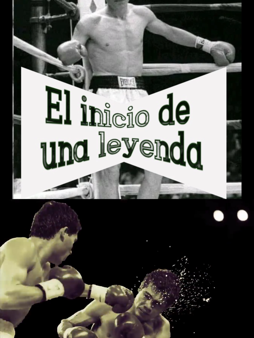 Sigueme para ver la simulacion de la carrera del REY CHAVEZ - La leyenda inicia su carrera #juliocesarchavez #fightnightchampions #box #Boxing