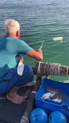 Awesome Crab Trapping Skills #fishing 