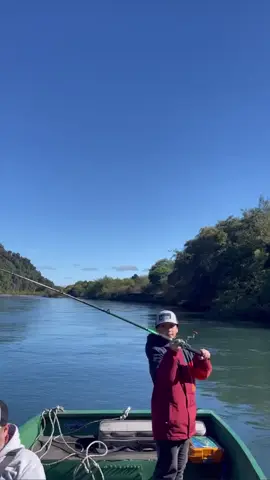 Mi hijo y su primer chinook temporada pasada , lanzando como un grande 🙌🏻 #kingsalmon #pesca #chile #chinook #fishing #spinning #jonboat #orvis #surdechile #puertovaras #riopetrohue #salmonchinookchile #fishingtrips #excursiones 