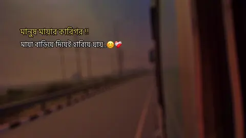মানুষ মায়ার কারিগর মায়া বাড়িয়ে দিয়ে হারিয়ে যায়..😊❤️‍🩹#foryou #foryoupagebdtiktok🇧🇩🇧🇩 #copylinkplease💗 #statusvideo #ismsilhossen25 #foryoupage @TikTok Bangladesh 
