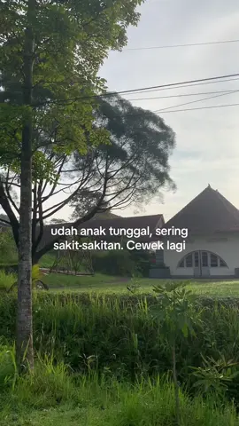 #tunggaljaya #anaktunggal 