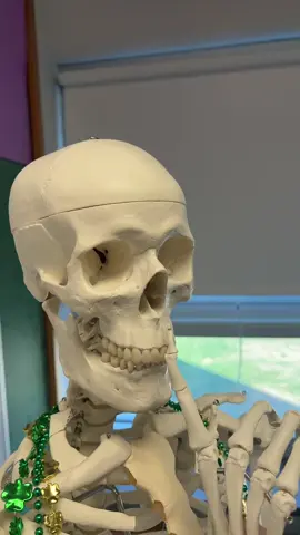 Even the skeleton is mewing #meme#mewing#fyp#viral