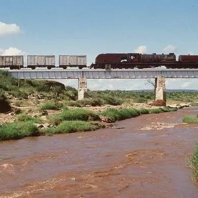 No final do século XIX, os britânicos começaram a construção de uma ferrovia. Durante os nove meses iniciais da construção, dois leões machos sem juba (algo natural aos leões de Tsavo), começaram a espreitar o acampamento e atacavam cruelmente as pessoas, arrastando os trabalhadores, na maioria indianos (levados pelos ingleses para acelerar as construções), de suas tendas, à noite, e os devorando na relva. Ao todo, foram mais de 130 trabalhadores ceifados. #leao #lion 