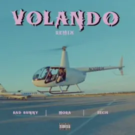 Volando remix-Mora x Sech x bad bunny #badbunny #mora #sech #letra #letra #viral #parati #fy #viral #2024 #fypage #fy #paratii #volandoremix #album #fyp #paratii #spotify 