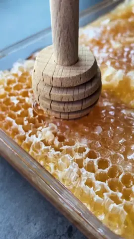 ASMR Sarang Madu Asli ‼️ #sarangmadu #sarangmadumurni #honey #sarangmaduasli #sarangmadumurah #maduasli #maduasli🐝 #fyp #mukbang  #asmr #jajanankekinian #shopmaster   #makananviraltiktok #cemilanviraltiktok #fypシ  #tiktokvirall #kulinerviralkekinian #videoviralterbaru  #eatmukbang🌶 #CapCut 