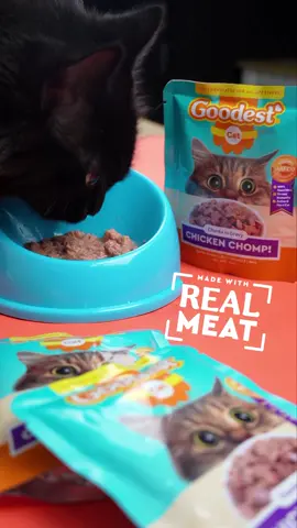 🐱 Elevate natin ang inyong mga feline-baby's dining experiences with Goodest Cat! Not only na napaka affordable, approve na approve din ni Sushi ang ultimate yumminess! 😻🍽 Spoil niyo na ang inyong mga fur babies without splurging! 🌟💕  #GoodestCat  #AffordableEats  #SushiApproved