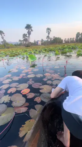 #ពេញលេងហើយធីមយើង #fishing #😂😂😂 #funny #foryourpage #viral #fyp 