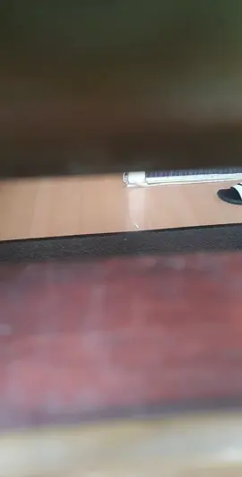 #catsoftiktok #cute #viral #fyp #catlover 🐈 