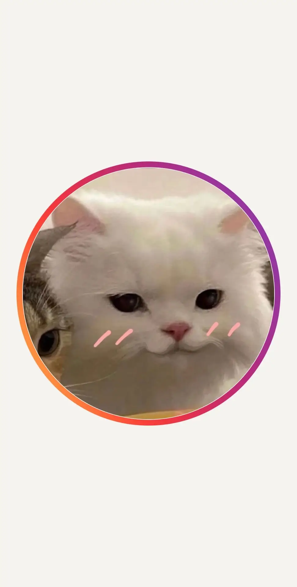 #cute #avatar #profilepicture #profilepics #cat #cutecat 