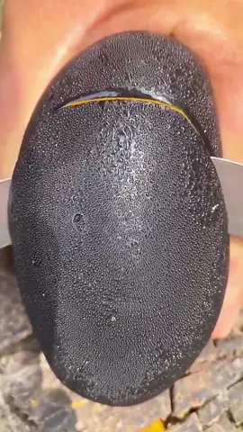 OMG😱black fruit?😋🤤#usa #fruit #asmr 