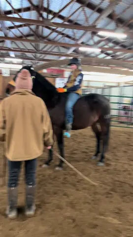The beginning stages of the capriole!!!  #horsesoftiktok #horsetraining #horseriding #horselove #horsepower #equestrianlife #horselover #cowgirl #libertyhorse 