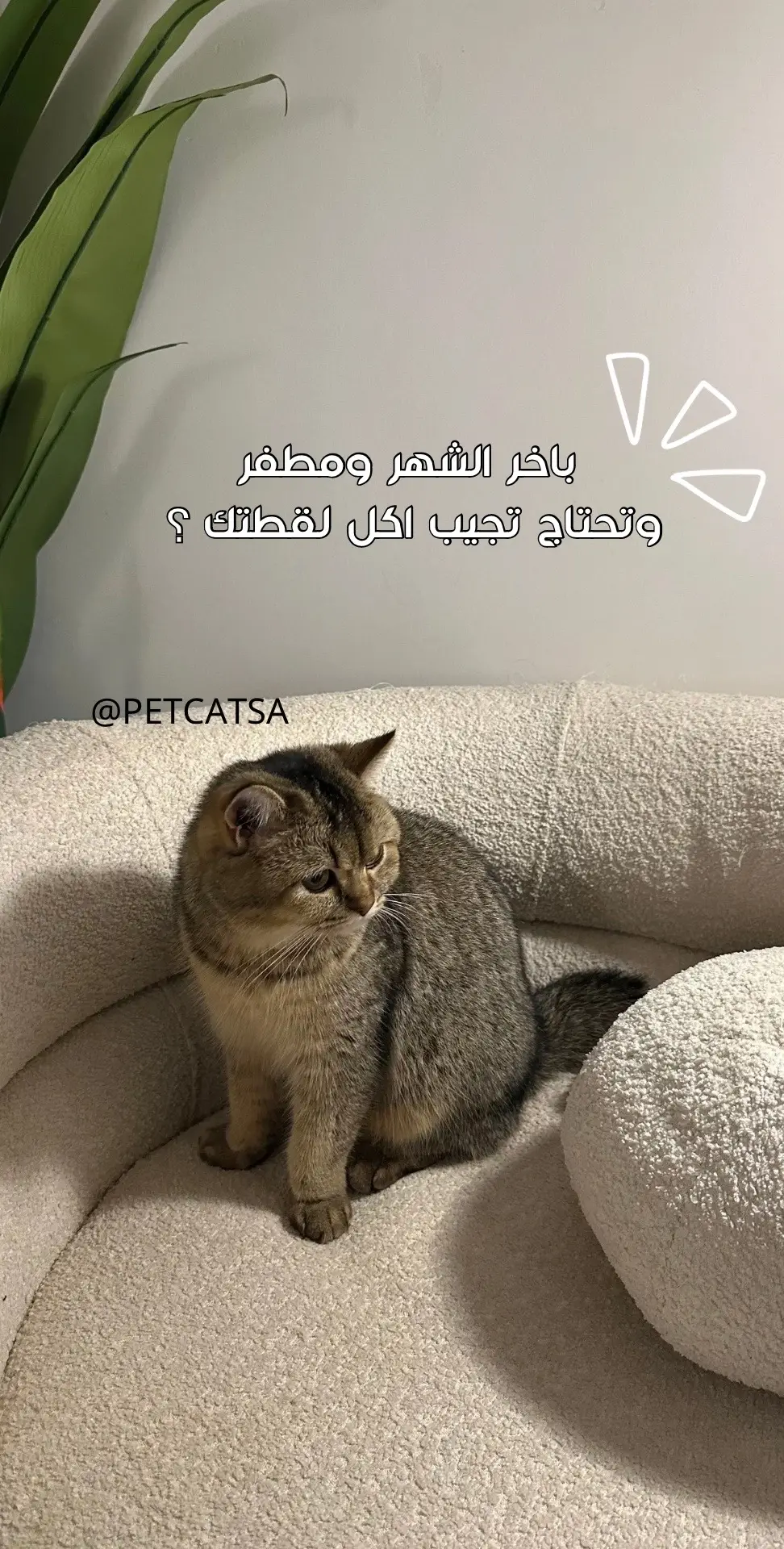 متجرنا يخدمك دائماً بكل حُب🫡💕