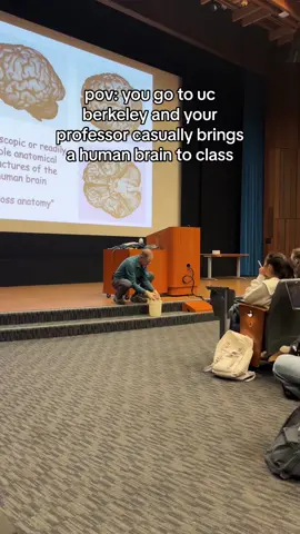 hes so happy🥰live laugh love dr. presti  #ucberkeley #cognitivescience #transferstudent #college #uctransfer #cal #berkeley #uctouc 