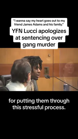 Rapper YFN Lucci pleaded guilty to one count of engaging in criminal street gang activity in his 13-count indictment yesterday in Fulton County Superior Court in Atlanta. Lucci told the judge on Tuesday, 