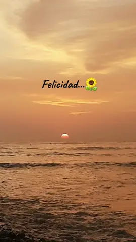 Felicidad es un viaje lejano mano con mano...La Felicidad!! #sunset #puestadesol🌅 #verano #atardecer #felicidad #berlinlacasadepapel 