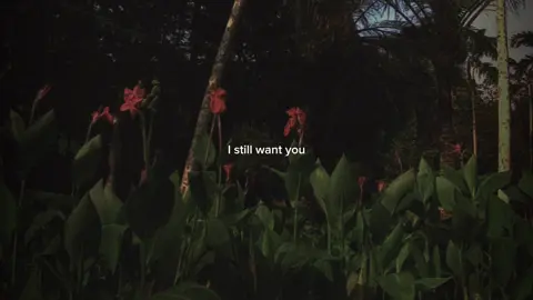 The truth untold - BTS #btsarmy #btslyrics #bts 