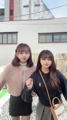 私のSNSによく出てくるベストフレンドです@田附未衣愛（たつきみいあ） #おすすめにのりたい #スイス鉄道旅 #SWEETSTEADY 