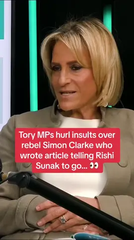 “Self-fallating… silly” #uk #news #tory #politics #2024 