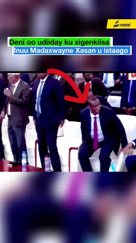 Deni VS Xasa #24❤️ #gobalkabari #puntlander🇸🇱 #somalitiktok #viral #shuaybdad 