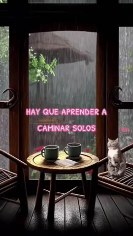 #consejodeldia #paratupagina #paratii #amorpropio #soloparati #fy #videoviral #ptp #parati 