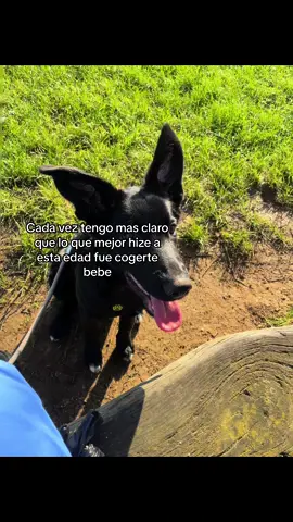 Es mi principe