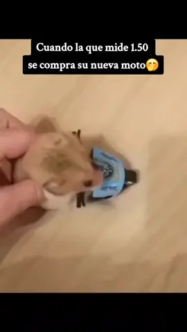 cuando la que mide 1.50 compra su nuva moto🤭 #parati #f #fyp #fypシ #foryou #foryoupage #funny #paratiiiiiiiiiiiiiiiiiiiiiiiiiiiiiii #viral_video #funny #comparte #parati #Meme #tiktok #jajaja #comenta #free #minions #graciosos #tiktokindia #youtube #pequeña #chicas #bebes 