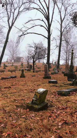 A morning stroll  #cemetery #cemeteries #deer #nature #fog #foggyweather #peaceful #takeabreath 