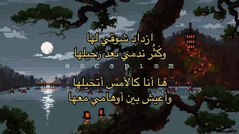 😔💔#شعر #قصايد #فصحى #قصيده #fyp #foryou #explore #كتاباتي #fypシ #فراق 
