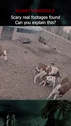 What happened to these poor animals? Scary videos caught on camera #scaryvideosaz