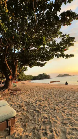 📍Masamirey Cove Resort Sual, Pangasinan #thankyoulord #anotherblessings #masamireycove #masamireycoveresort #masamireycovebeachresort #sualpangasinan #beach #tiktok #quickescape #marcuztravels #fyp #fypシ #fypシ゚viral 