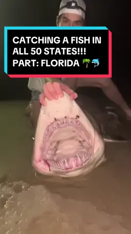 CATCHING A FISH IN ALL 50 STATES!! PART FLORIDA 🌴🐬 #catchingafishinall50states #florida